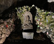 あなたの持っている怖い話・怪談・ヒトコワ聞きます イメージ1