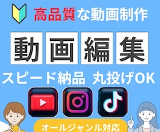 YouTube・SNS動画をプロっぽく編集します イメージ1