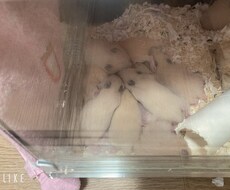 娘や息子の親子の距離に悩む方へ｜感情を整理します イメージ1