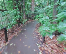 運気を総合的にみます 運気のサイクル、流れをみながら、ご質問100個まで回答します