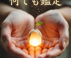 三界命術で何でも鑑定します イメージ1