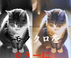 白黒・モノクロ写真をカラーに！一部のみもできます イメージ1