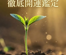 三界命術で2026年徹底開運鑑定します 生まれもったエネルギーと今年の流れを融合し、道筋を具体的に