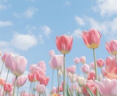 みなさんのお悩みお聞きします イメージ1