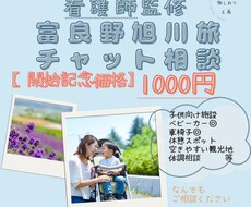 看護師・ママ目線で安心子連れ旅を提案します イメージ1