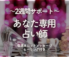 あなた専用占い師として2週間サポートします イメージ1