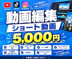 お急ぎ対応可！SNS向けのショート動画を編集します イメージ1