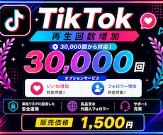 最安値⭐️3万回〜TikTok再生回数増やします イメージ1