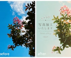 SNSで映えるやさしい写真に仕上げます イメージ1