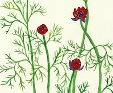 植物のイラスト受け付けます 絵本、チラシ、ウェルカムボードなどにいかがですか？