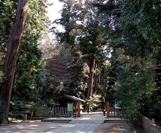 起業するのに良い時期、悪い時期を看ます 四柱推命で、起業するのに良い時期悪い時期がわかります。