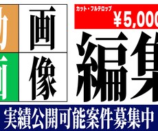 YouTube向け動画編集いたします イメージ1