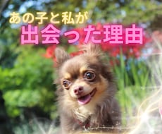 あの子と繋がり、出会った理由と使命を伝えます イメージ1
