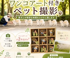 ワンちゃんアート付きペット撮影ます 愛犬との特別な瞬間を作品にします。