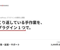 WordPressプラグインの開発を承ります イメージ1