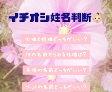 姓名判断：ペンネームやお子様の命名お手伝いします 会社名やペットの命名、芸名のご相談も可能です！