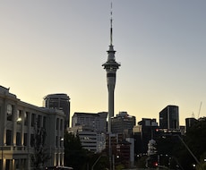 NZ在住の元広告営業が最新トレンドを調査します