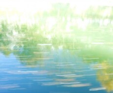 水の癒しの力を込めてより深いヒーリングへと誘います とにかく疲れた、癒されたい、満身創痍な貴方を内側からサポート