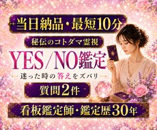 最短10分　質問２つ　YES/NO　一言鑑定します 即日対応　看板鑑定師 秘伝のコトダマ霊視　迷いを解決