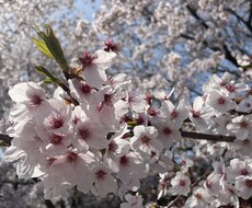 HSPで心の弱い僕があなたの悩みに寄り添います イメージ1
