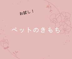 ペットの気持ちをカードを通して霊視します ペットの気持ちみてみませんか？