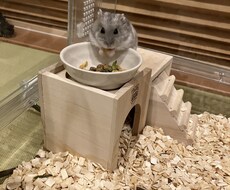 子育てのツラい気持ち受け止めます イメージ1