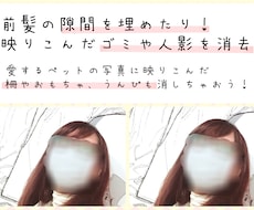 写真から不要な情報を消します イメージ1