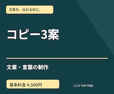商品キャッチコピーを3案作成します イメージ1