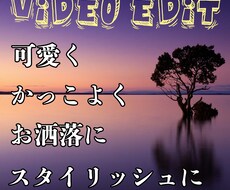 YouTube/SNS/広告用の動画編集を致します イメージ1