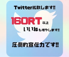 Twitterのツイートを160RT以上拡散します イメージ1