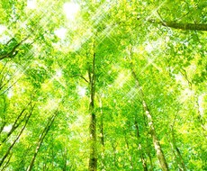女性限定⭐︎　あなたのお話し相手になります イメージ1