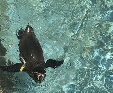話し相手・愚痴聞きします イメージ1