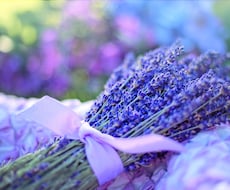 子に振り回されない自分軸で心を整えるお手伝いします 自責の毎日を卒業。カードで心の絡まりを解き、穏やかな毎日へ。