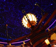 ディズニー写真、動画お譲りします イメージ1