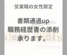 職務経歴書の添削をします イメージ1