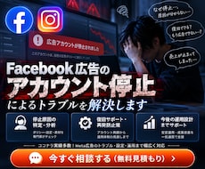 Meta広告/BM制限/審査落ちを専門診断します 【垢BAN対応】//設定代行&レクチャー対応