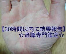 30時間以内に手相鑑定であなたの適職見つけます 手相鑑定専門家が観る適職鑑定 本格的西洋手相鑑定