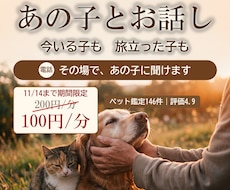 旅立った子とも今いる子とも、電話でお話しします 犬猫・うさぎ・鳥も。聞きたいことを、その場であの子に聞きます