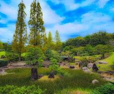 あなたの撮影した写真を編集します イメージ1