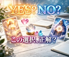 この選択、YES？NO？今すぐ答えをお伝えします イメージ1