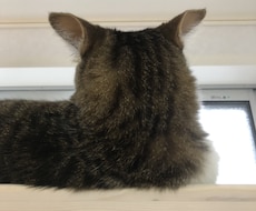あなたの悩みを拝聴し、一緒に考えて突発口を探します イメージ1