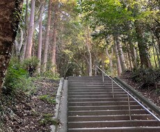 占い迷子を救済※満願成就あなたの苦しみ解放します