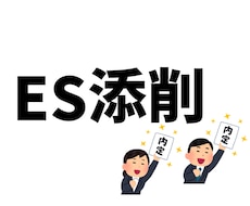 最短即日！★新卒限定★納得するまでES添削します イメージ1