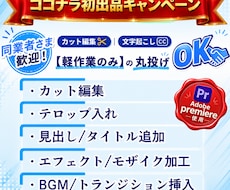 同業者様歓迎！面倒なカットとテロップ入れ代行します 表現者目線で「見せ場」のタイミングを逃さない編集を心掛けます