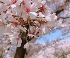ちょっと聞いて欲しい心のモヤモヤ話、私が聞きます イメージ1
