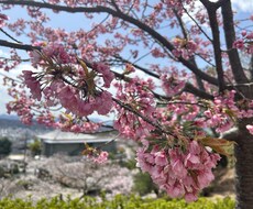 暇つぶし・日頃の出来事を聞きます イメージ1