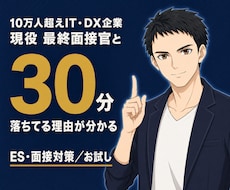 IT企業最終面接官が落ちる理由を30分で特定します 文系×IT志望の新卒向け⭐お試し30分⭐現状を話してください
