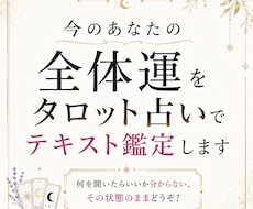 今のあなたの全体運をタロットで文章鑑定します イメージ1