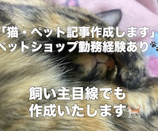 ペットショップ勤務者が猫ペット関連の記事作成します イメージ1
