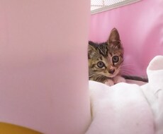 日々を楽しく過ごすお手伝いをします イメージ1